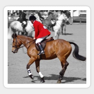 Royal Windsor Horse Show Sticker